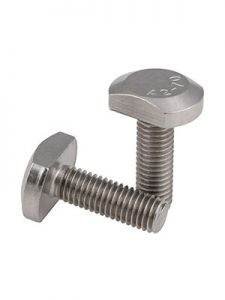 Stainless Steel T & Square Head Bolt India