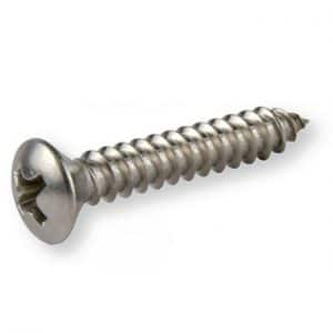 Oval Head Phillips Pan Tapping Screw
